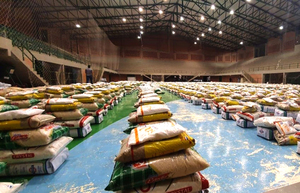 Junta Municipal solicita copias de auditorías a compras de víveres durante la pandemia - La Clave
