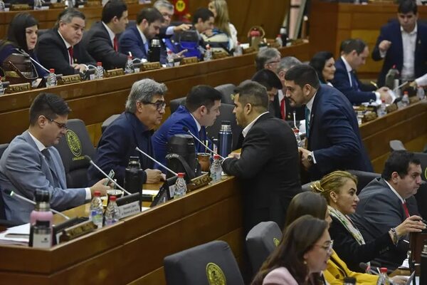 Rechazan nuevamente el castigo penal por desacato a pedidos de informes legislativos - Política - ABC Color