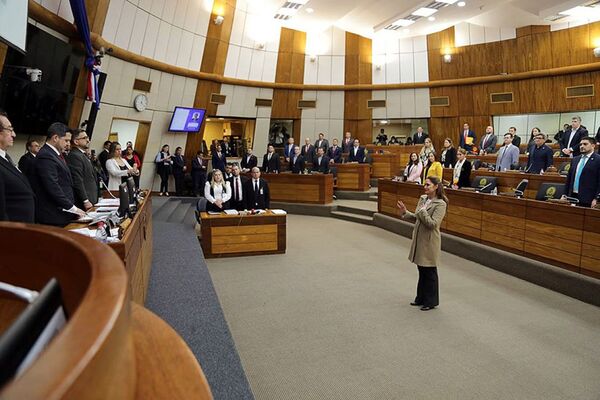 Diputados nombró a Natalia Sosa para ocupar el cargo de Defensor del Pueblo Adjunto - El Trueno