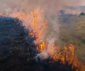 Video: impresionantes imágenes tomadas desde un dron de un incendio rural al costado de la ruta PY03 - Nacionales - ABC Color