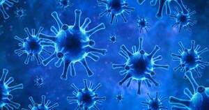 La Nación / Nuevo tratamiento antiviral para covid