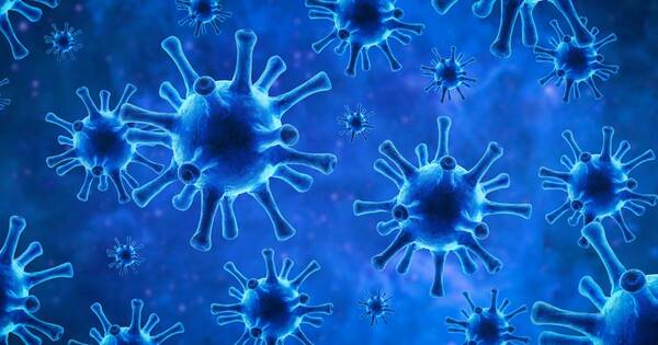 La Nación / Nuevo tratamiento antiviral para covid
