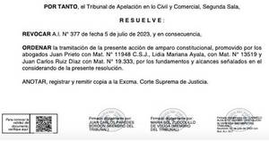La Nación / Cámara de apelaciones admite amparo de abogados contra concurso de Itaipú