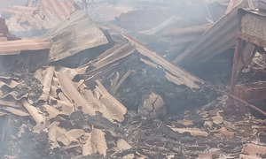Hombre muere calcinado tras fatal incendio de vivienda en Presidente Franco - OviedoPress