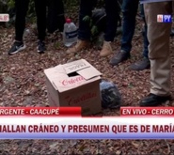 Hallan un cráneo humano en el cerro Cristo Rey - Paraguay.com