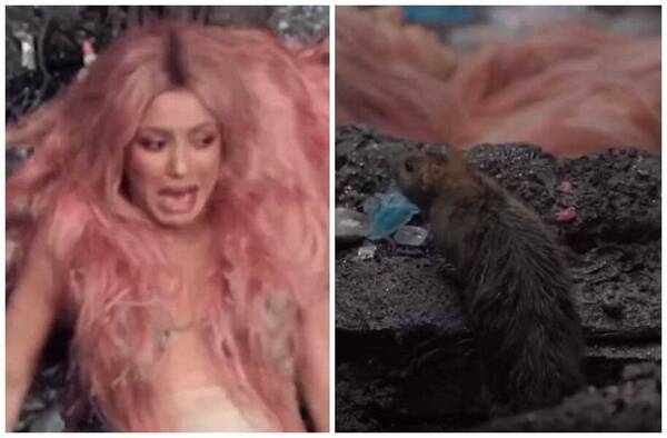 [VIDEO] Shakira vive terrorífico encuentro con ratón mientras grababa su videoclip