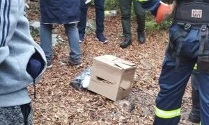 Encuentran más restos de María Ramona en el cerro