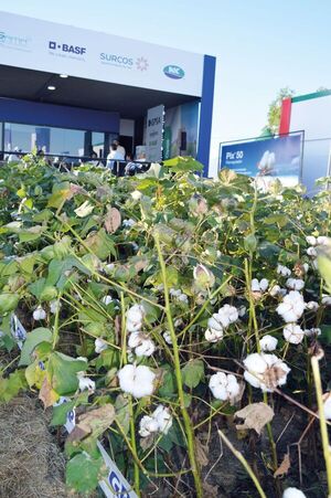 BASF con su división soluciones para la Agricultura en la Expo Pioneros