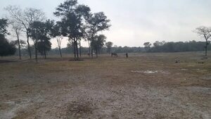 Lluvias ayudan a aplacar temporada seca en el Alto Paraguay - Noticias del Chaco - ABC Color