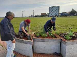 Recuperación y mantenimiento en el sector del Paseo de la Villa Baja