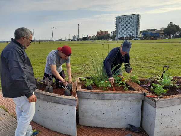 Recuperación y mantenimiento en el sector del Paseo de la Villa Baja