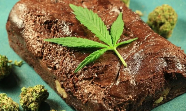 Niño de tres años fue auxiliado ante sospecha de que se intoxicó con torta de marihuana en PJC - OviedoPress