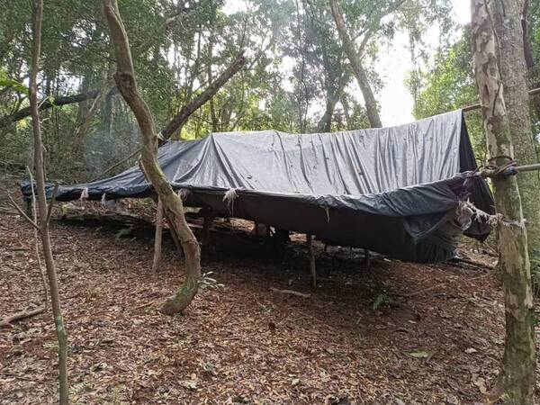 SENAD DETECTA CENTRO DE PRODUCCIÓN DE MARIHUANA EN LA RESERVA NATURAL SAN RAFAEL