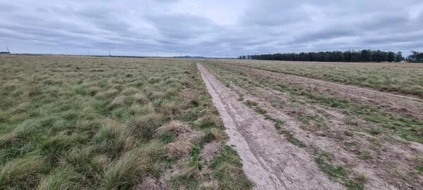 Pobladores de Villa Florida denuncian loteamiento e intento de venta de parte del territorio comunal - Nacionales - ABC Color