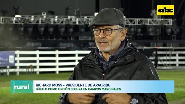 Video: búfalo como opción segura para diversos tipos de campos marginales - ABC Rural - ABC Color