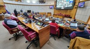 Legislador plantea sesionar una vez al mes en idioma guaraní