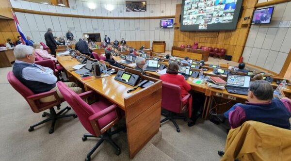 Legislador plantea sesionar una vez al mes en idioma guaraní