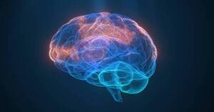 La Nación / ¿Sabés cuánto tiempo tarda el cerebro en memorizar?