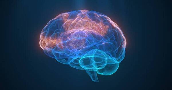 La Nación / ¿Sabés cuánto tiempo tarda el cerebro en memorizar?