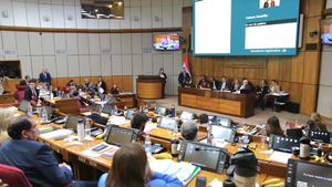 Senado declara de interés nacional la serie Marilina: Atreverse a soñar