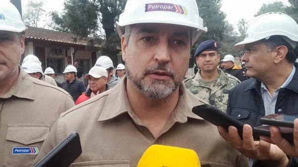 Mario Abdo dijo que espera respeto a la democracia por parte del gobierno entrante - Nacionales - ABC Color