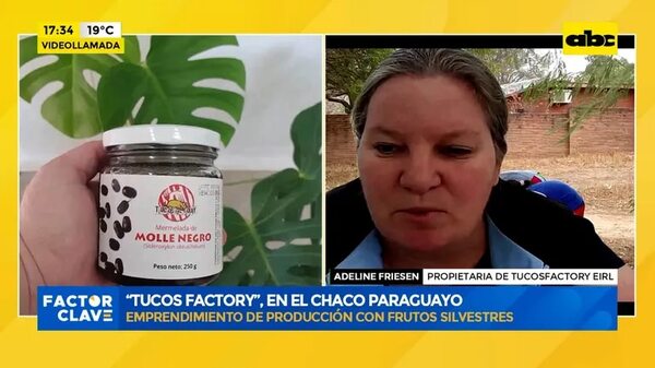 Video: “Tucos Factory”, en el Chaco paraguayo - Factor Clave - ABC Color