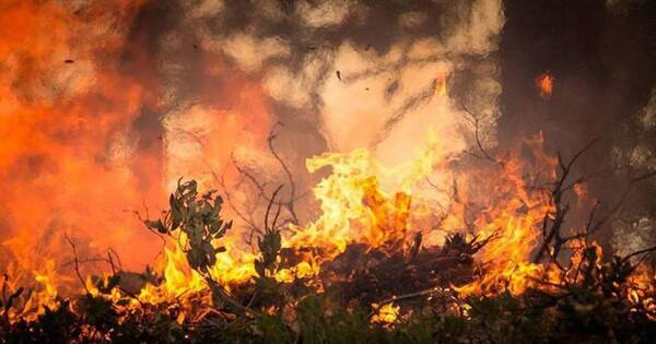 La Nación / Julio bate récord de calor histórico, según la ONU