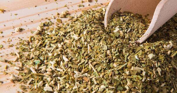 La Nación / Portal internacional destaca beneficios del consumo de la yerba mate