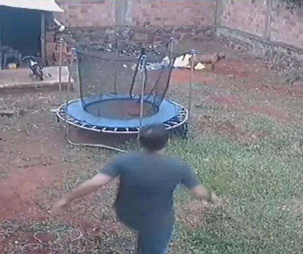 Video: mataron a estocadas a un pitbull y fueron aprehendidos - Policiales - ABC Color