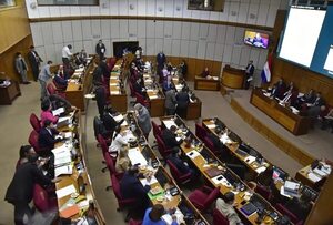 Senado posterga control a las narcoavionetas - Política - ABC Color