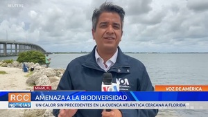 Calor en cuenca atlántica cercana a Florida amenaza la biodiversidad