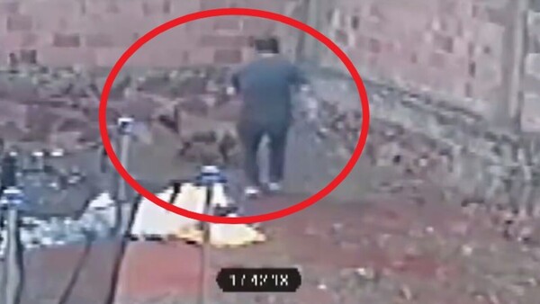 Mató a pitbull a puñaladas y quedó detenido