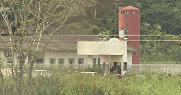 La Nación / Brasil: motín de casi 24 horas concluye con cinco presos muertos