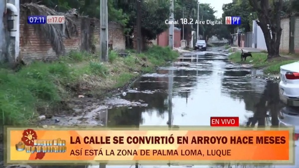 Vecinos denuncian calles devenidas en arroyos en Luque - Noticias Paraguay