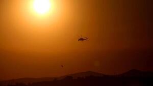 Papa pide "esfuerzos valientes" ante el desafío del cambio climático tras incendios