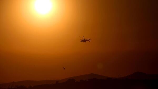 Papa pide "esfuerzos valientes" ante el desafío del cambio climático tras incendios