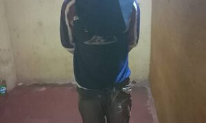 Delincuente intentó robar portón y fue detenido