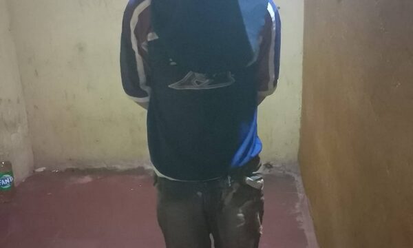 Delincuente intentó robar portón y fue detenido