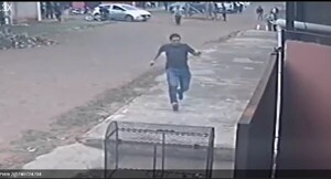 Capiatá: Un perro de la raza pitbull fue apuñalado hasta la muerte, tras atacar a otro animal - trece