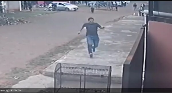 Capiatá: Un perro de la raza pitbull fue apuñalado hasta la muerte, tras atacar a otro animal - trece