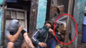 Mono era usado como “campana” de un desarmadero de motos