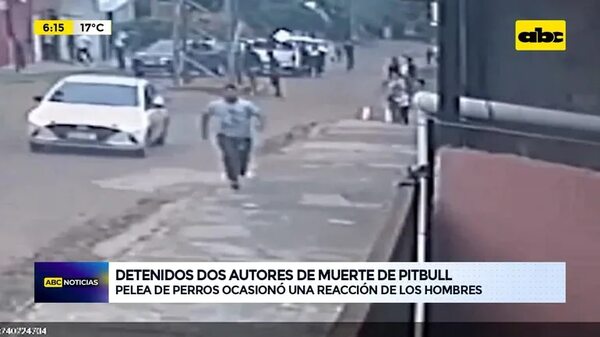 Video: Detenidos dos autores de muerte de pitbull - ABC Noticias - ABC Color