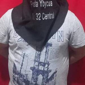 Un imputado y un liberado en la muerte a cuchillazos del pitbull