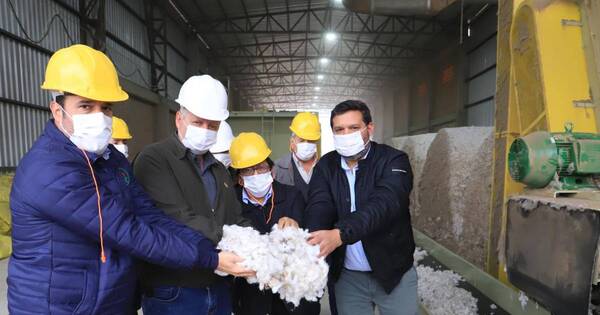 La Nación / Bertoni valora capacidad de productores del Chaco en desarrollar rubro algodonero