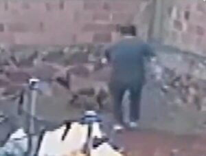 Caso Pitbull: "El desafío no es tanto la interpretación de lo que le pasó, sino qué espejo nos pone como sociedad" · Radio Monumental 1080 AM