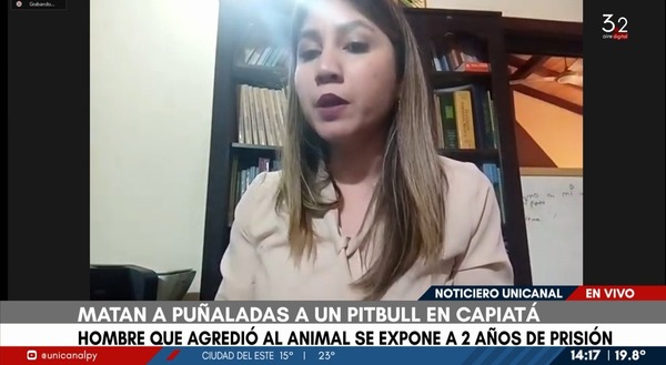 Caso pitbull: “La acción del hombre no tiene justificativo”, afirma Teresita Álvarez - Unicanal