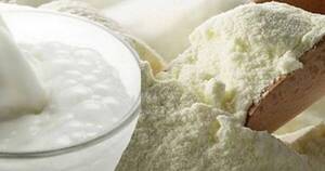 La Nación / Paraguay se ubica como tercer exportador de leche en polvo al mercado brasileño