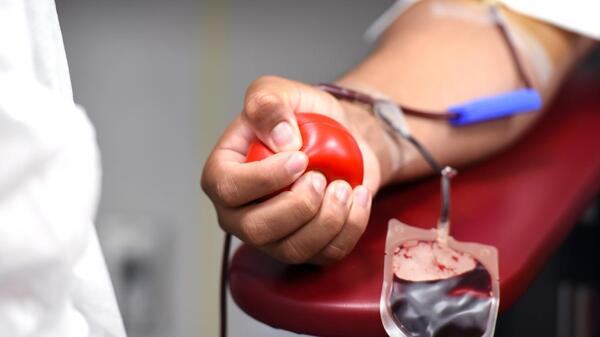 Que tu amistad salve vidas: instan a donar sangre por el Día del Amigo - trece