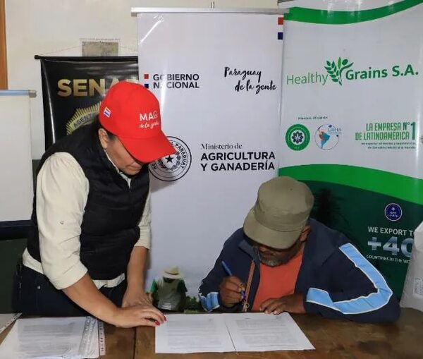 Chaco: el cultivo de cáñamo industrial es el nuevo rubro para pequeños productores - Noticias del Chaco - ABC Color