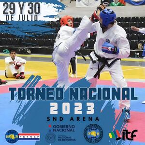 Llegó el esperado Torneo Nacional de Taekwondo ITF - ADN Digital